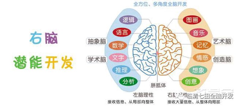 右脑开发