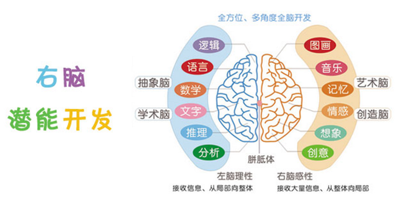 义乌培飞思维怎么样？从学员反馈中寻找答案