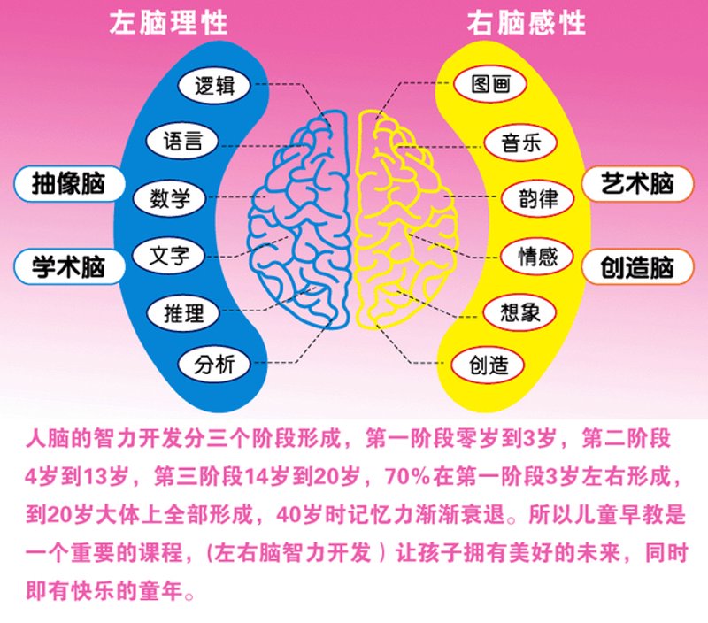 义乌培飞思维怎么样？五大维度对比，为你揭开真相